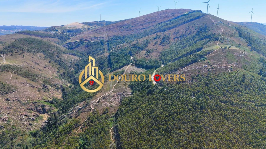 Terreno Agricola ou Rústico para Venda em Penafiel Foto 9