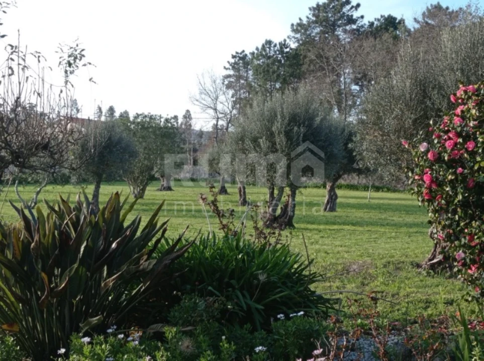 Quinta T8 para Venda em Cardielos e Serreleis Foto 11