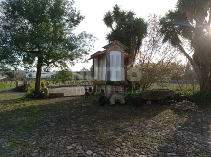 Quinta T8 para Venda em Cardielos e Serreleis Foto 8