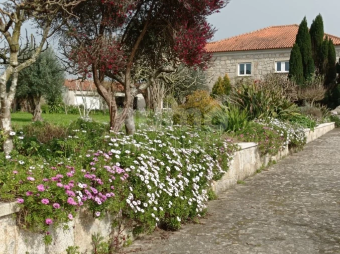 Quinta T8 para Venda em Cardielos e Serreleis Foto 14