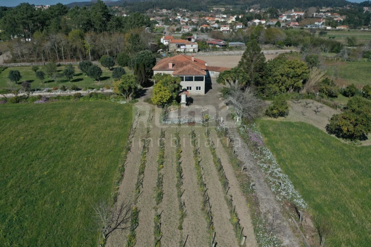 Quinta T8 para Venda em Cardielos e Serreleis Foto 1