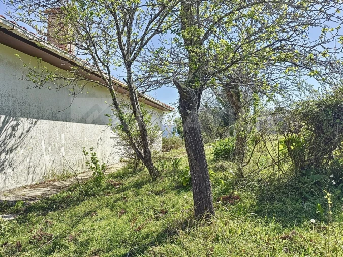 Moradia T2 para Venda em Caminha (Matriz) e Vilarelho Foto 22