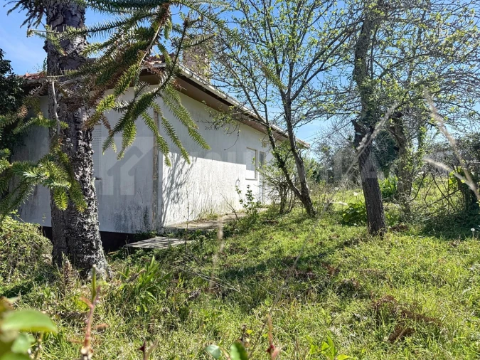 Moradia T2 para Venda em Caminha (Matriz) e Vilarelho Foto 31