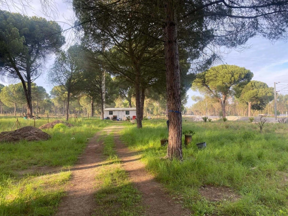 Terreno para Venda em Comporta Foto 1