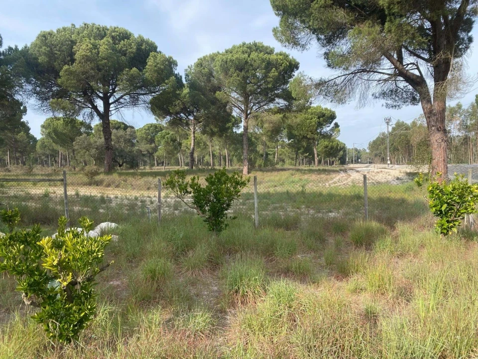 Terreno para Venda em Comporta Foto 4