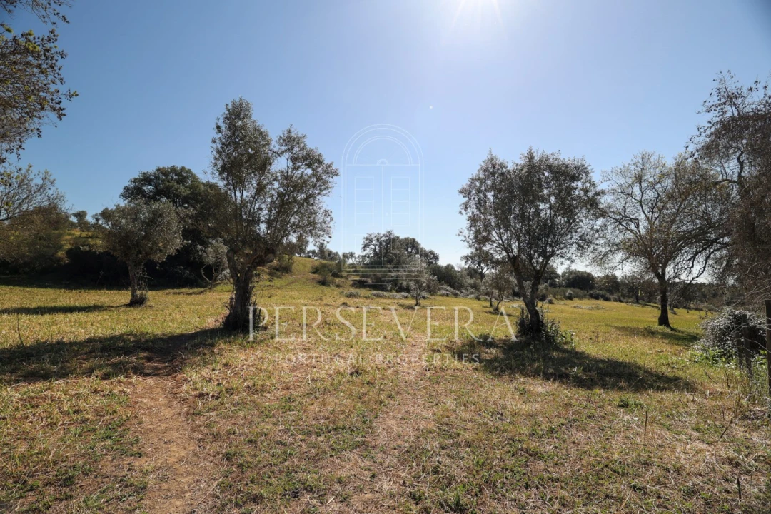Quinta para Venda em Alter do Chão Foto 5