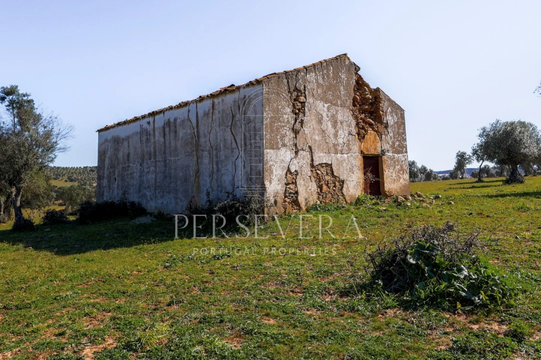 Quinta para Venda em Alter do Chão Foto 14