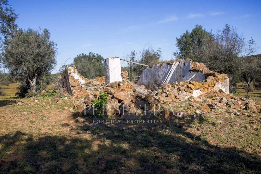 Quinta para Venda em Alter do Chão Foto 25