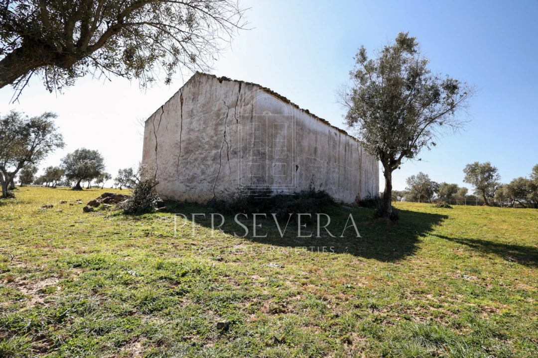 Quinta para Venda em Alter do Chão Foto 27