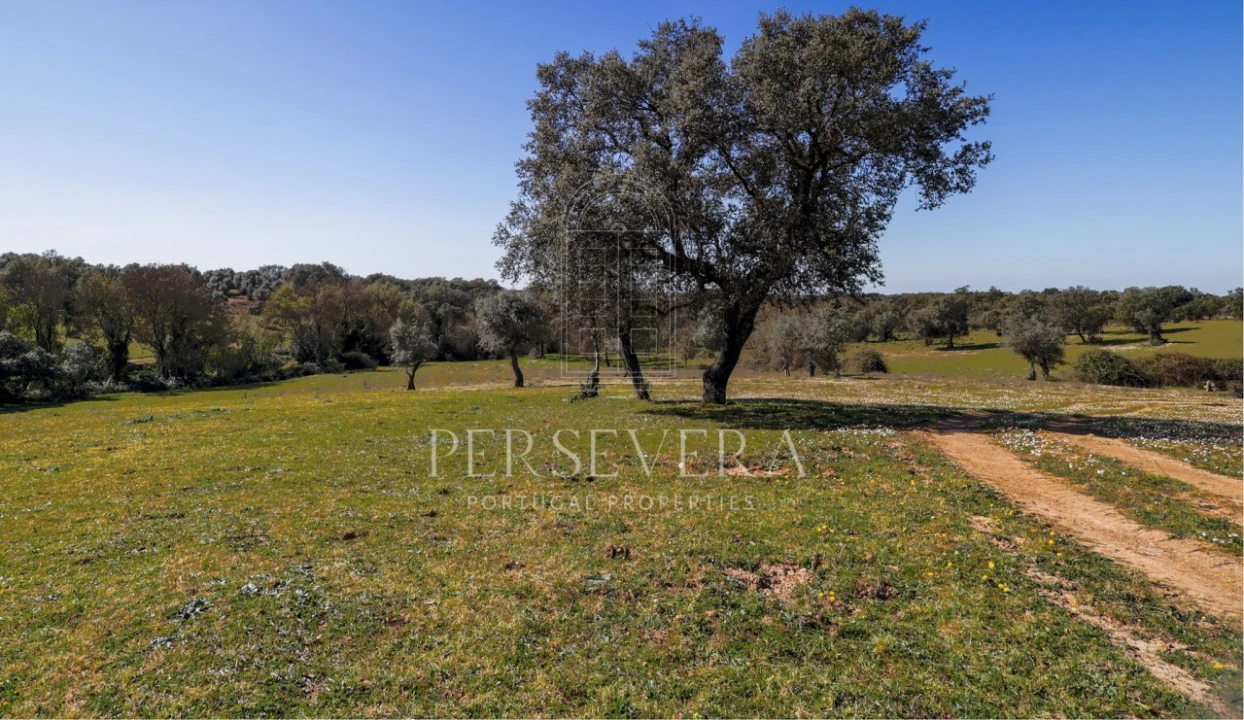 Quinta para Venda em Alter do Chão Foto 29