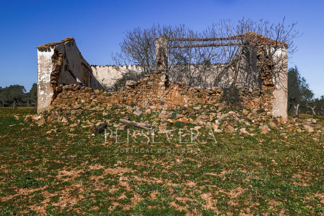 Quinta para Venda em Alter do Chão Foto 30