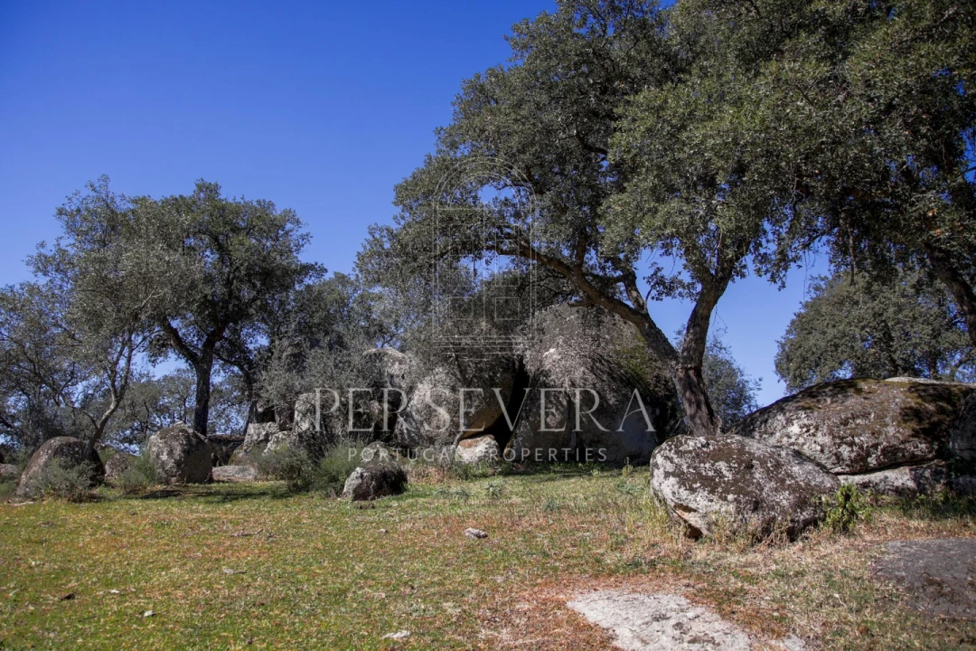 Quinta para Venda em Alter do Chão Foto 34