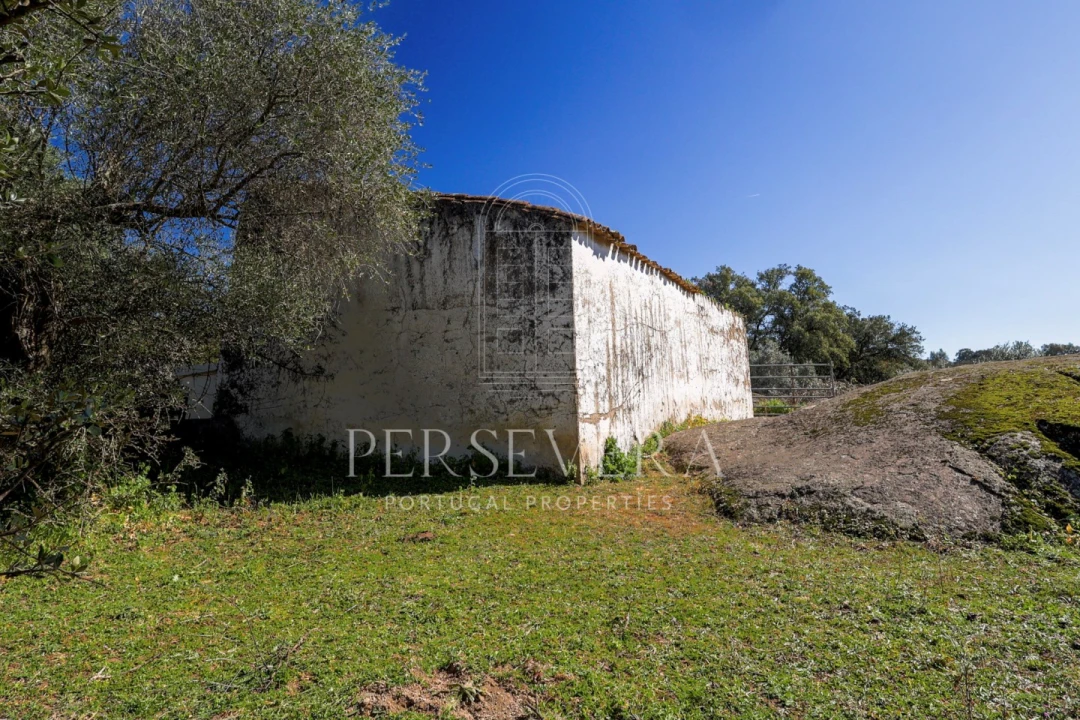 Quinta para Venda em Alter do Chão Foto 37