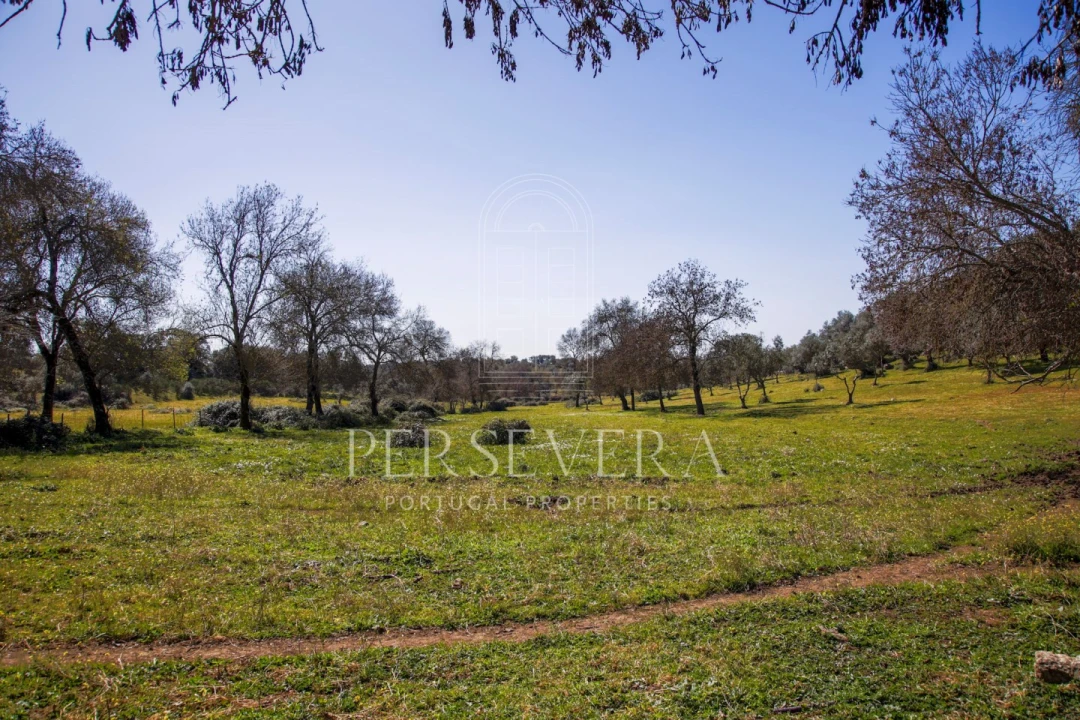 Quinta para Venda em Alter do Chão Foto 40
