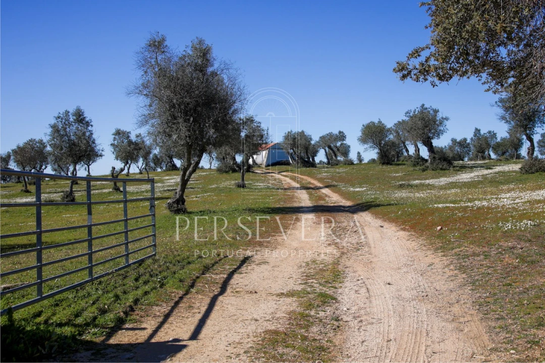 Quinta para Venda em Alter do Chão Foto 43