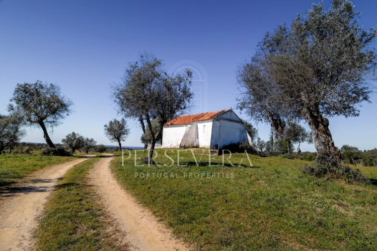 Quinta para Venda em Alter do Chão Foto 3