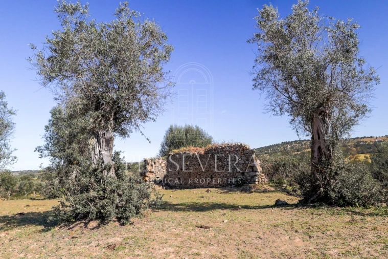 Quinta para Venda em Alter do Chão Foto 8