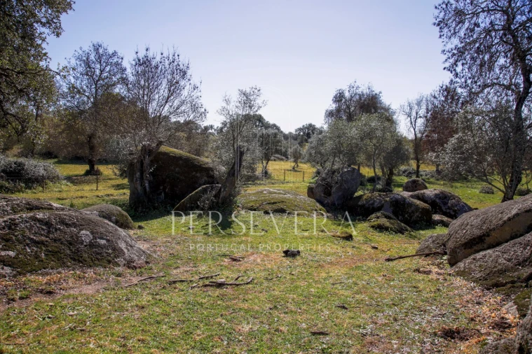 Quinta para Venda em Alter do Chão Foto 13
