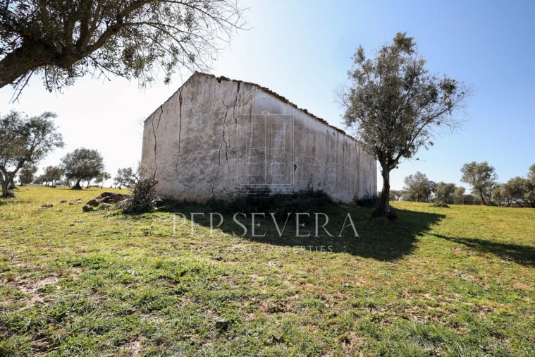 Quinta para Venda em Alter do Chão Foto 27