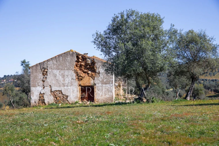 Quinta para Venda em Alter do Chão Foto 28