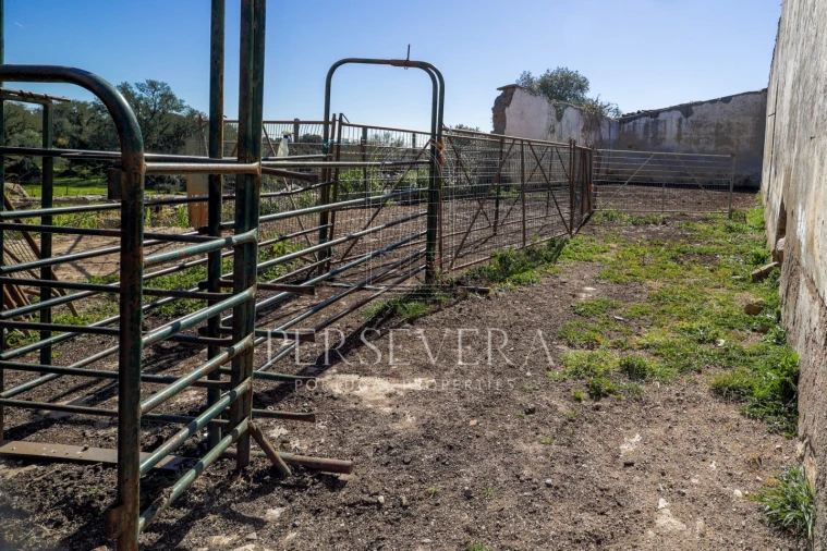Quinta para Venda em Alter do Chão Foto 42
