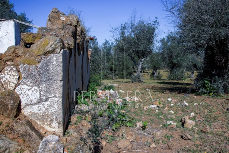 Quinta para Venda em Alter do Chão Foto 52