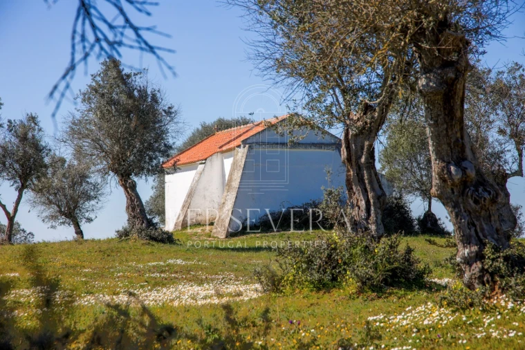 Quinta para Venda em Alter do Chão Foto 55