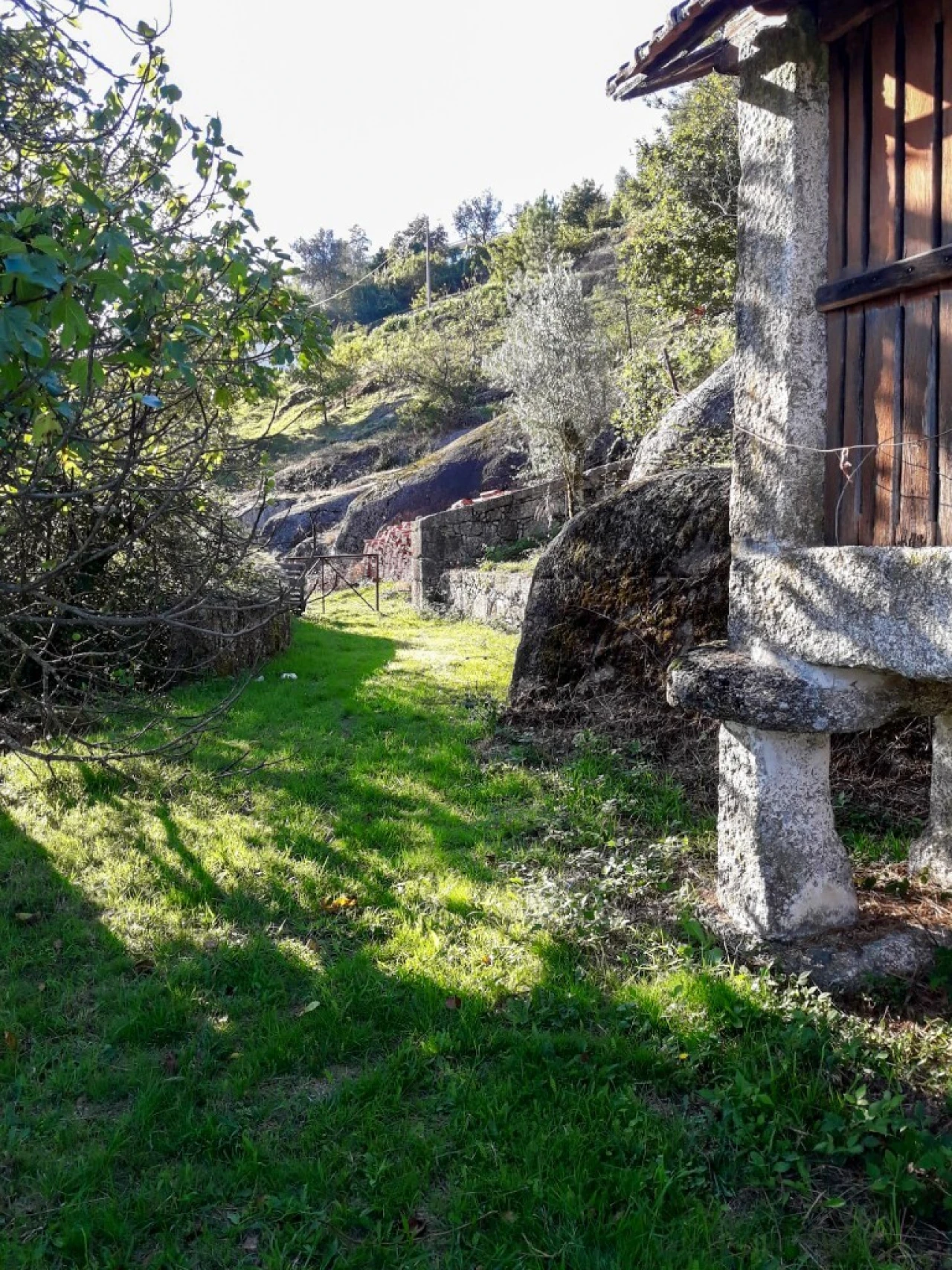 Terreno para Venda em Vieira do Minho Foto 18
