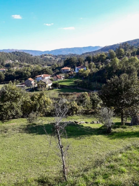 Terreno para Venda em Vieira do Minho