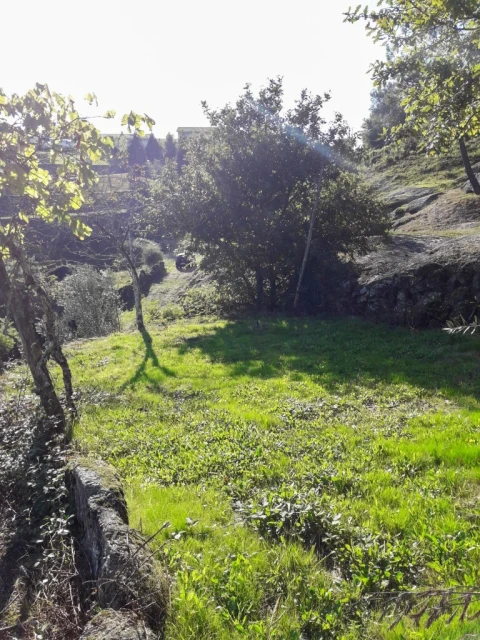 Terreno para Venda em Vieira do Minho