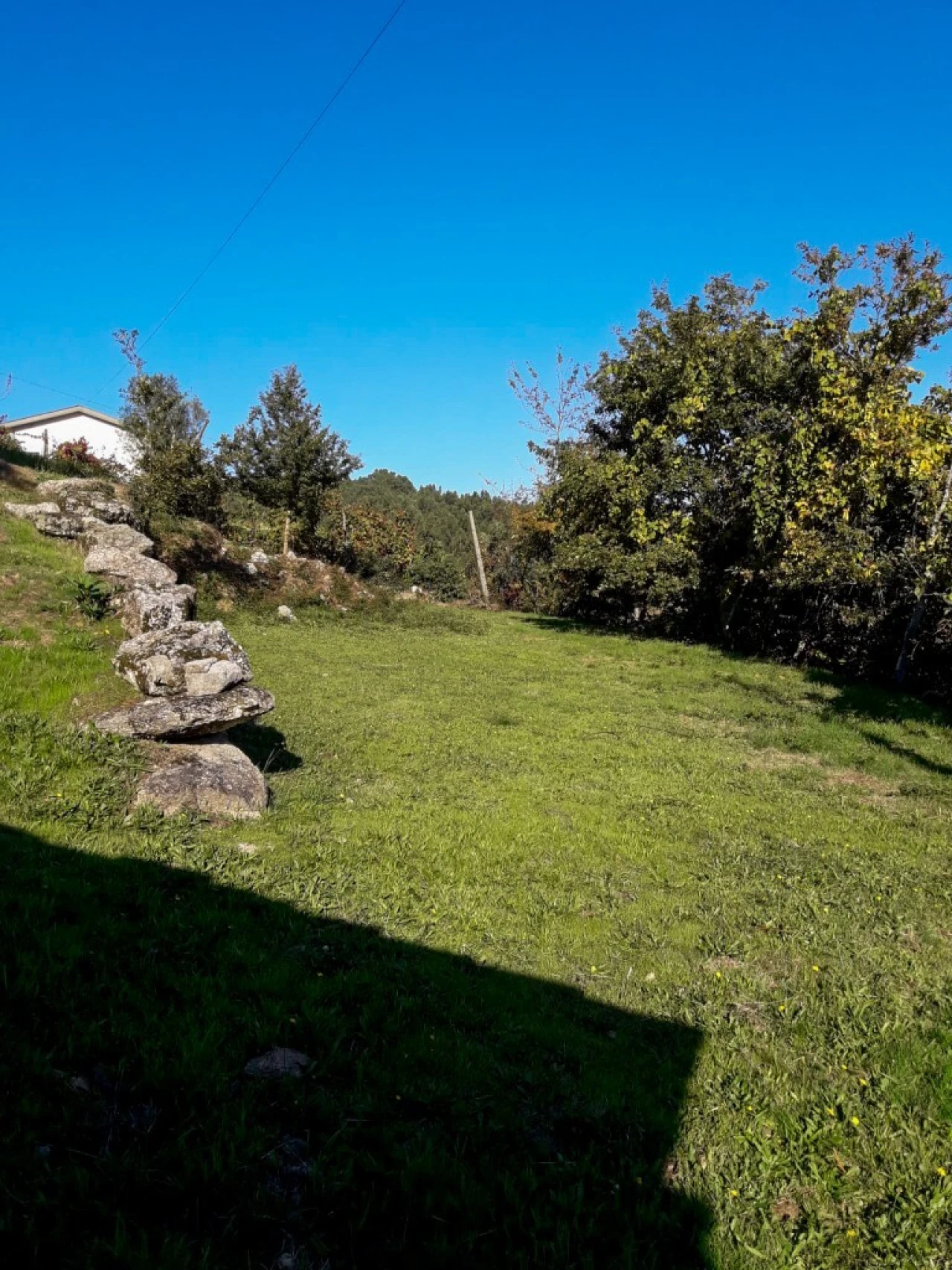 Terreno para Venda em Vieira do Minho Foto 35