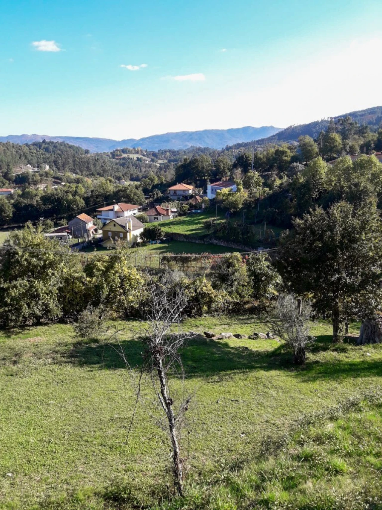 Terreno para Venda em Vieira do Minho Foto 42