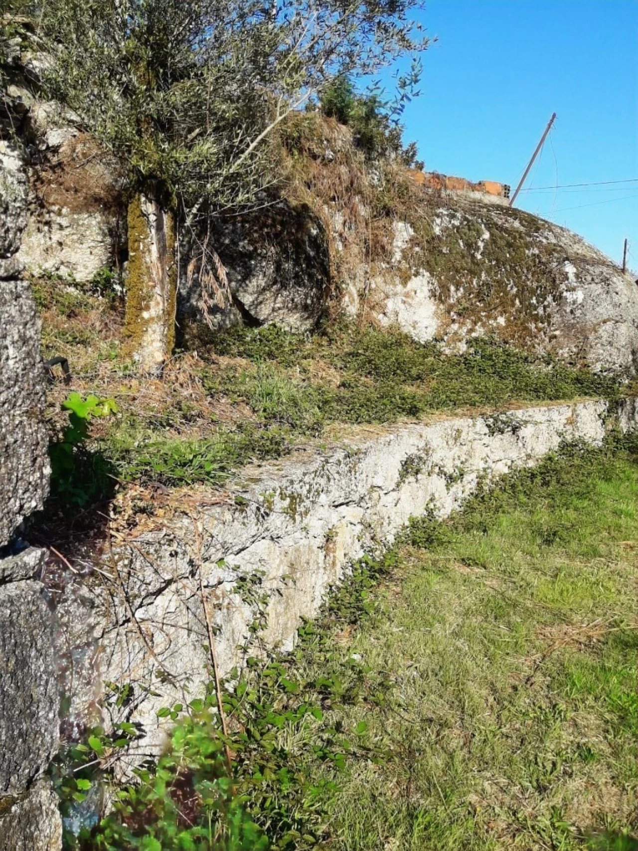 Terreno para Venda em Vieira do Minho Foto 39