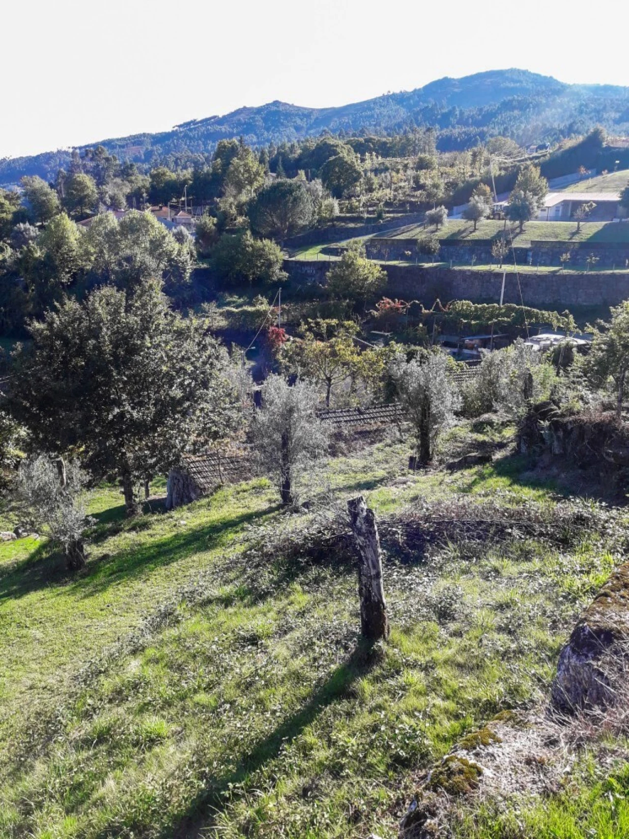 Terreno para Venda em Vieira do Minho Foto 40