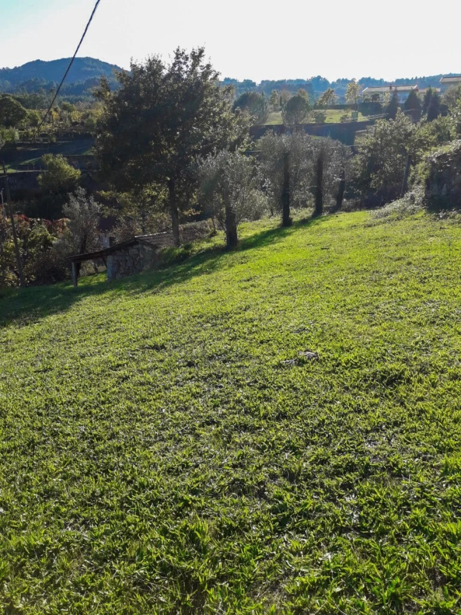 Terreno para Venda em Vieira do Minho Foto 14