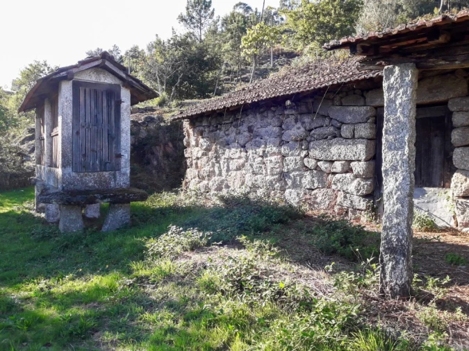 Terreno para Venda em Vieira do Minho Foto 22