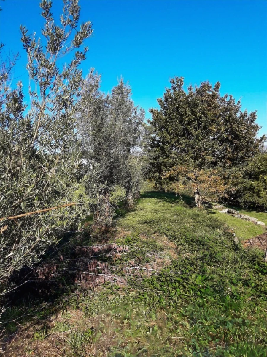 Terreno para Venda em Vieira do Minho Foto 29