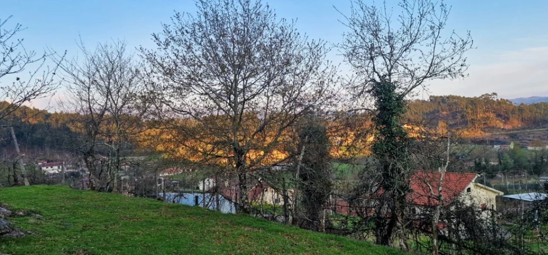 Terreno para Venda em Vieira do Minho Foto 17