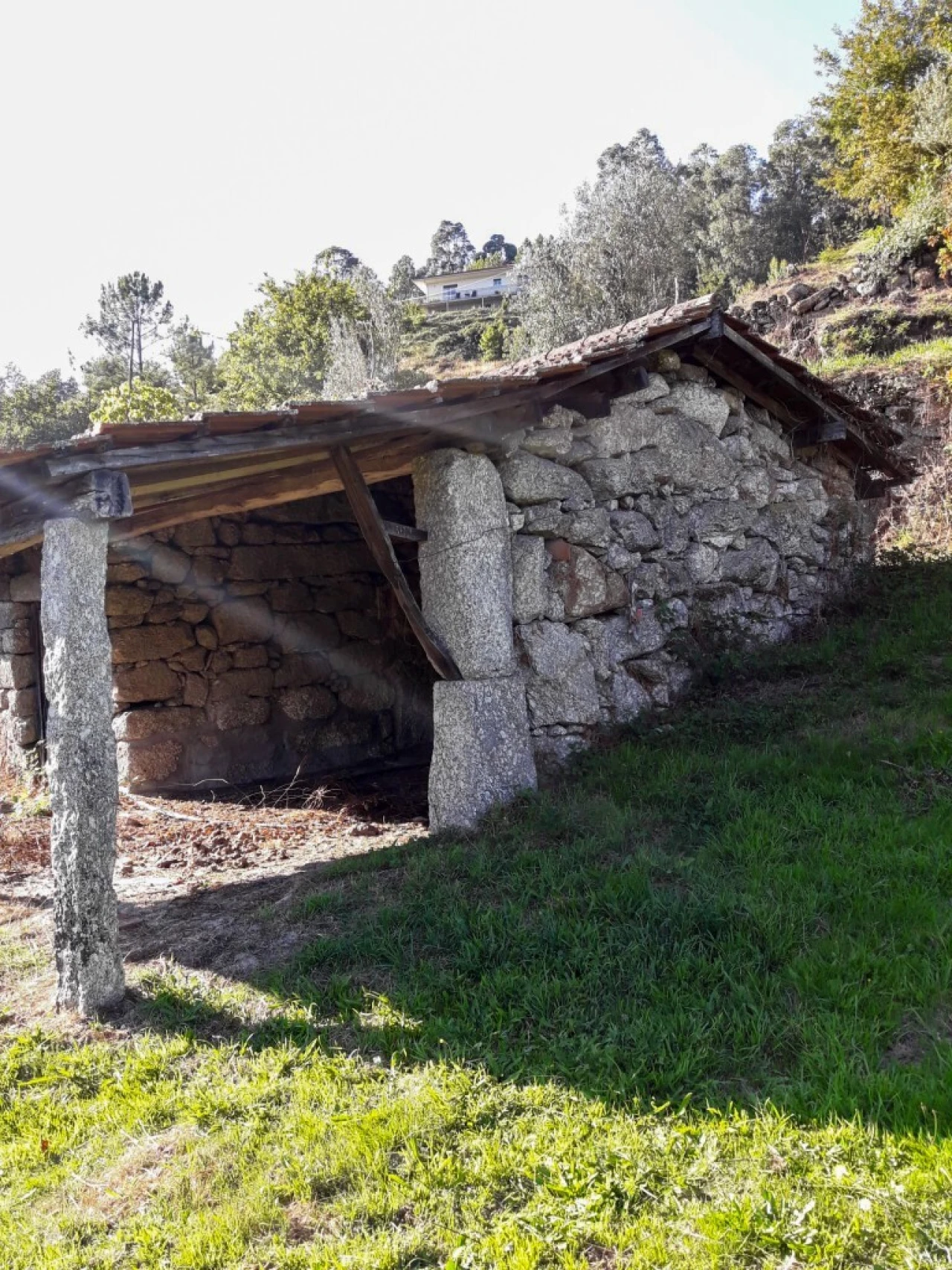 Terreno para Venda em Vieira do Minho Foto 20