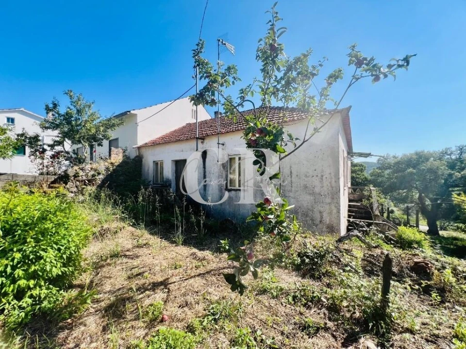 Moradia T3 para Venda em Figueiró dos Vinhos e Bairradas Foto 33