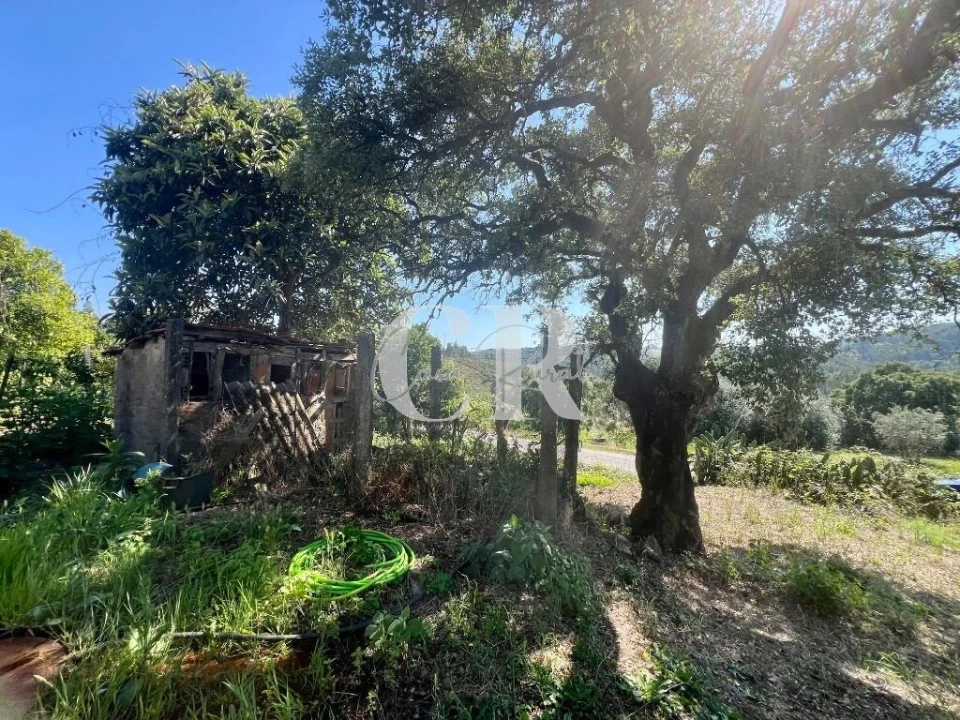 Moradia T3 para Venda em Figueiró dos Vinhos e Bairradas Foto 8