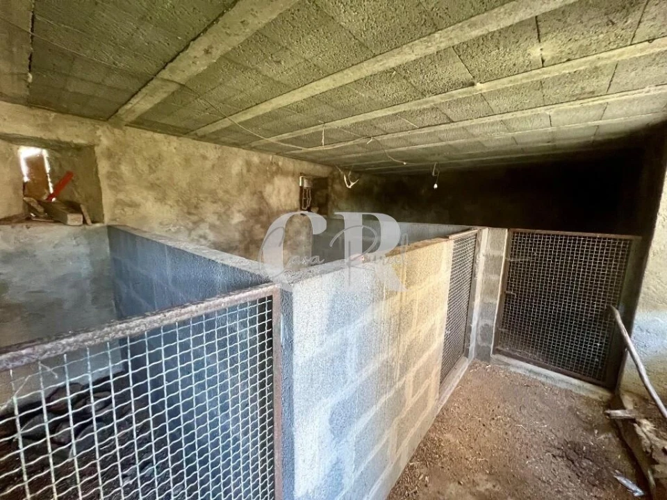 Moradia T3 para Venda em Figueiró dos Vinhos e Bairradas Foto 4