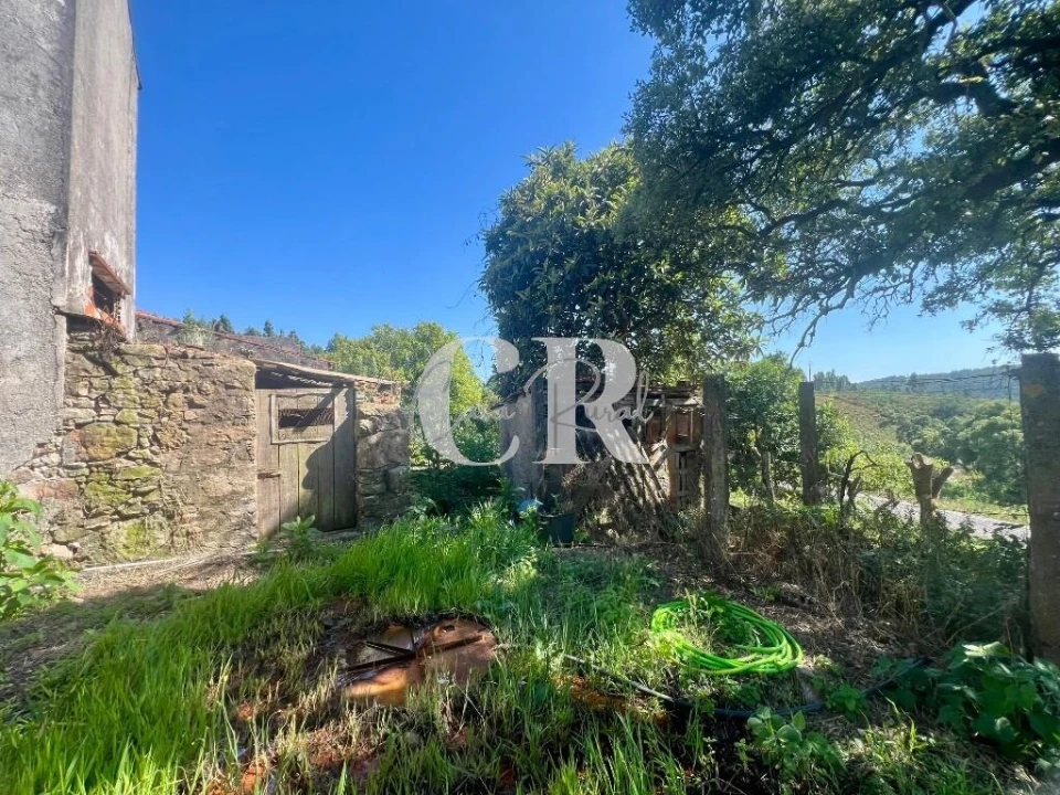 Moradia T3 para Venda em Figueiró dos Vinhos e Bairradas Foto 6