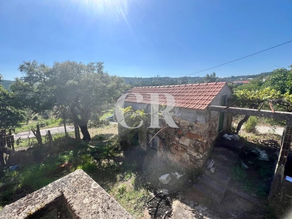 Moradia T3 para Venda em Figueiró dos Vinhos e Bairradas Foto 13