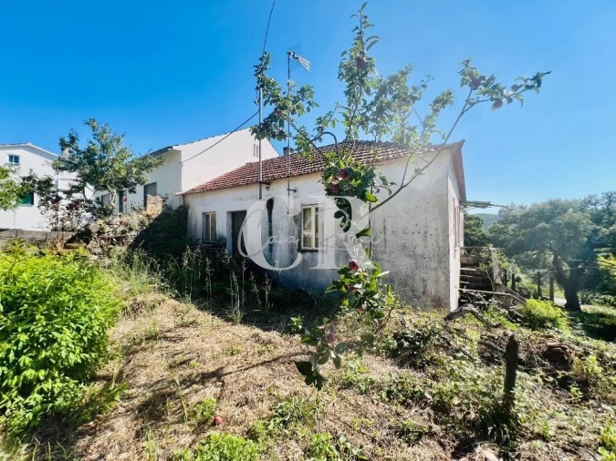 Moradia T3 para Venda em Figueiró dos Vinhos e Bairradas Foto 33