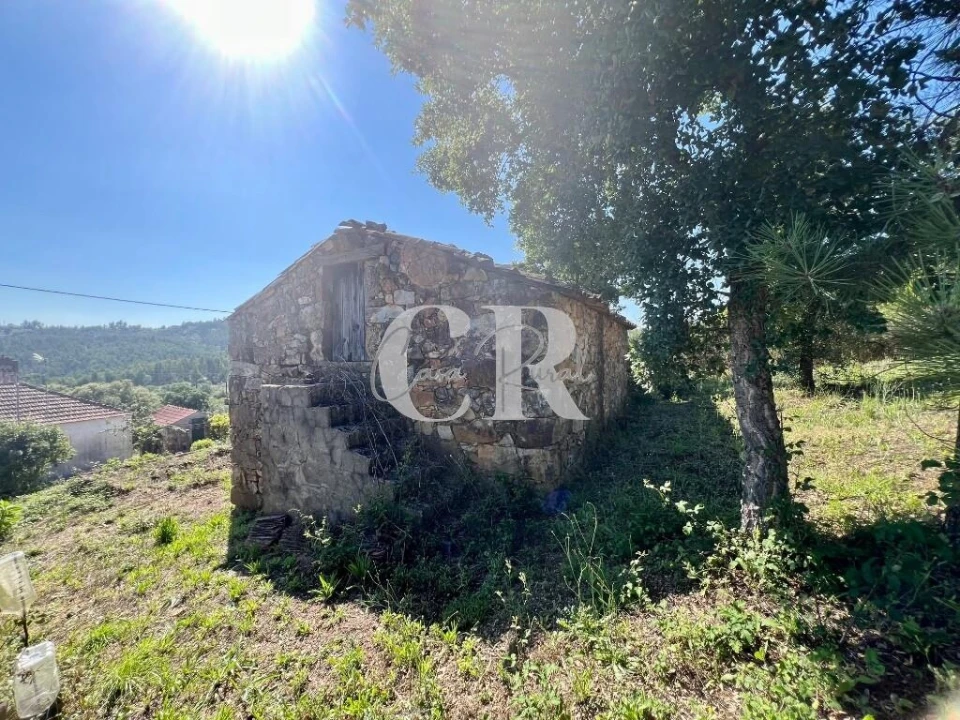 Moradia T3 para Venda em Figueiró dos Vinhos e Bairradas Foto 47
