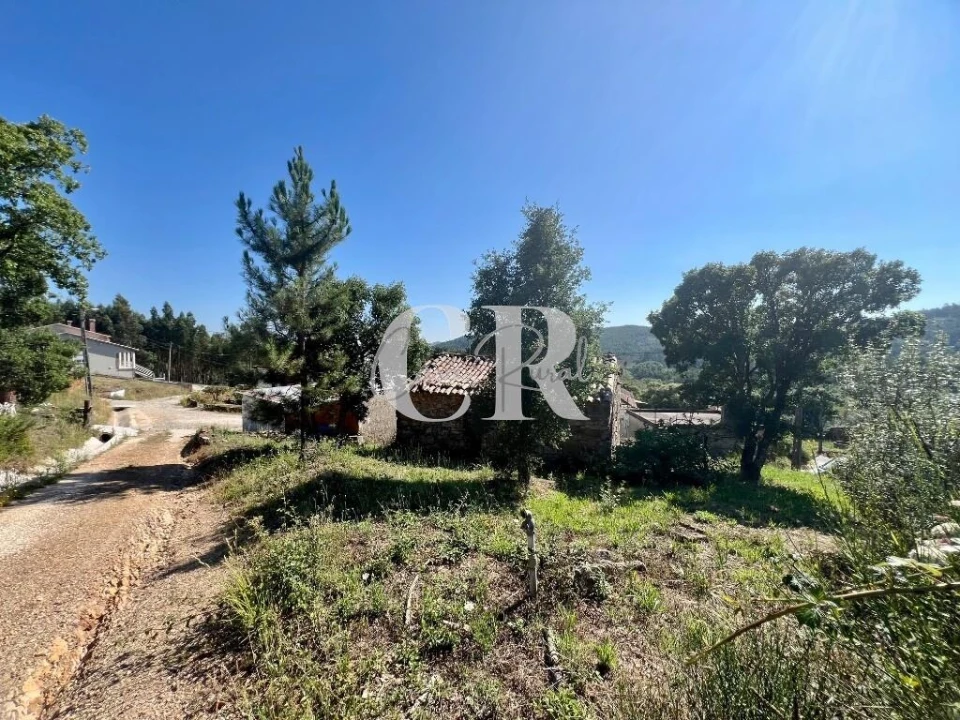 Moradia T3 para Venda em Figueiró dos Vinhos e Bairradas Foto 48