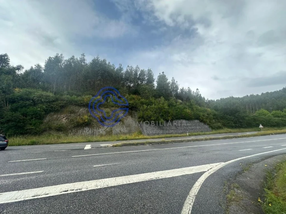 Terreno para Venda em Calvos e Frades Foto 4