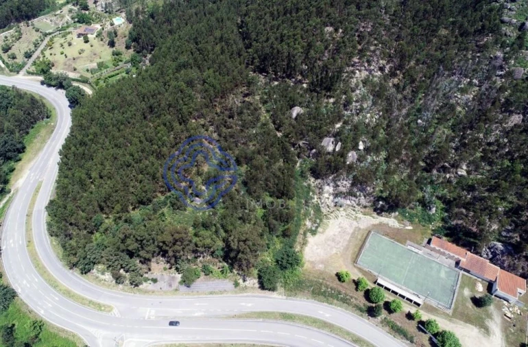 Terreno para Venda em Calvos e Frades Foto 2