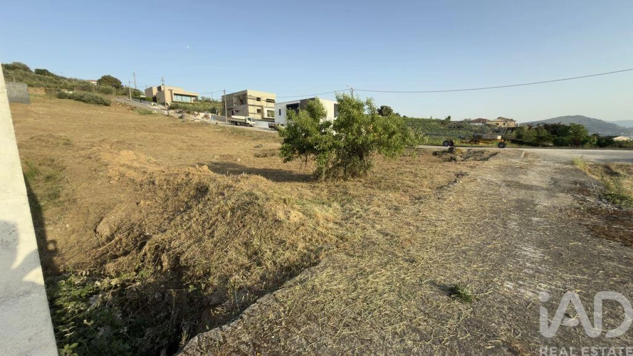 Terreno para Venda em Poiares e Canelas Foto 12
